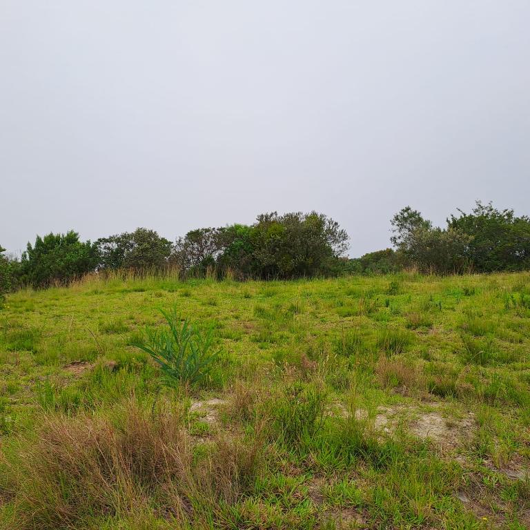 0 Bedroom Property for Sale in Schoongezicht Western Cape